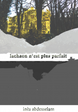 LACHAON N'EST PLUS PARFAIT (T.1 Chroniques du ParfaitMonde)