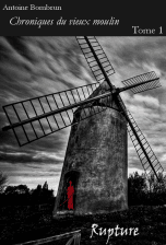 Les Chroniques du vieux moulin